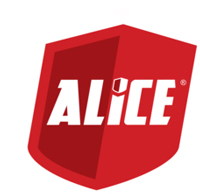 Where Did ALICE Training Go?