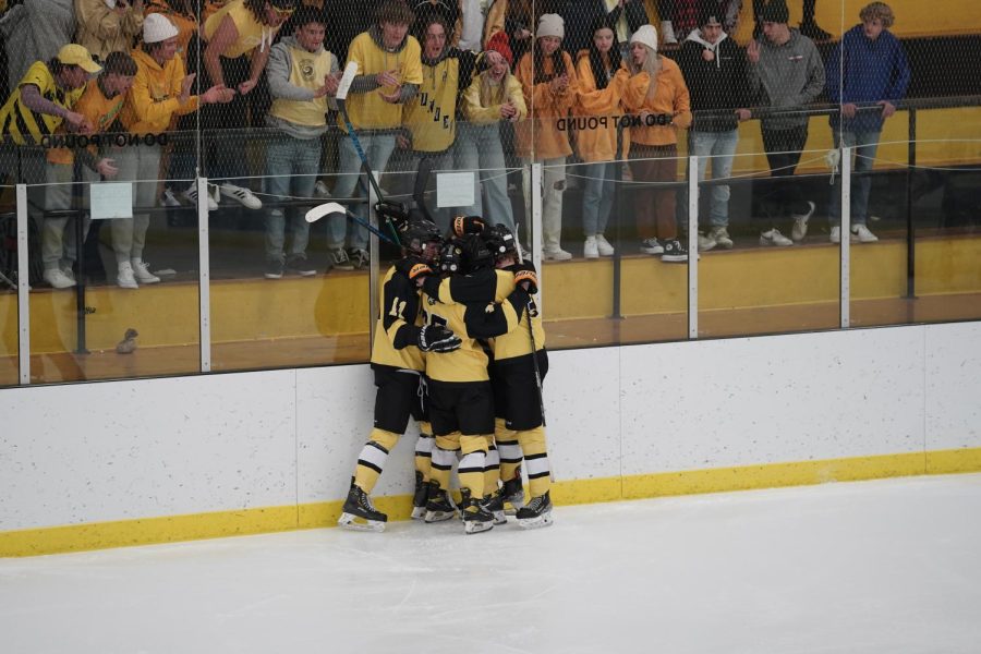 The hockey team celebrated after scoring. 